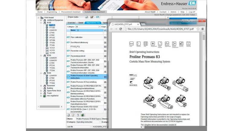 W M Enterprise Endress Hauser