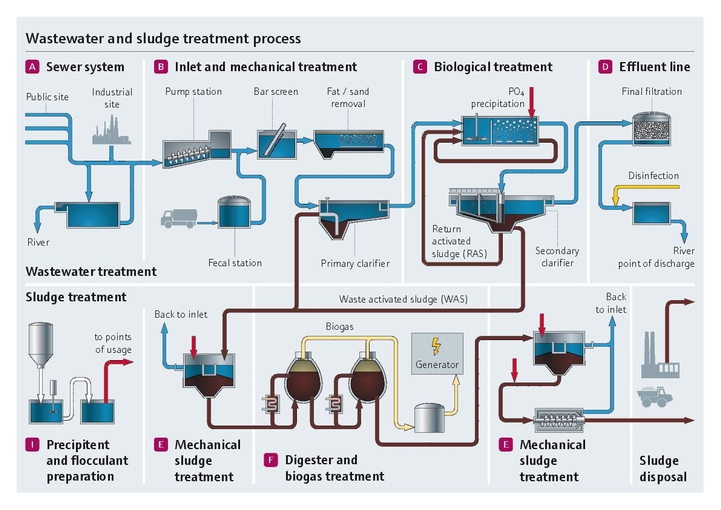 Wastewater and sludge treatment process