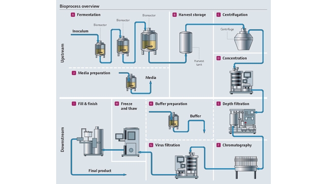 Bioprocess overview