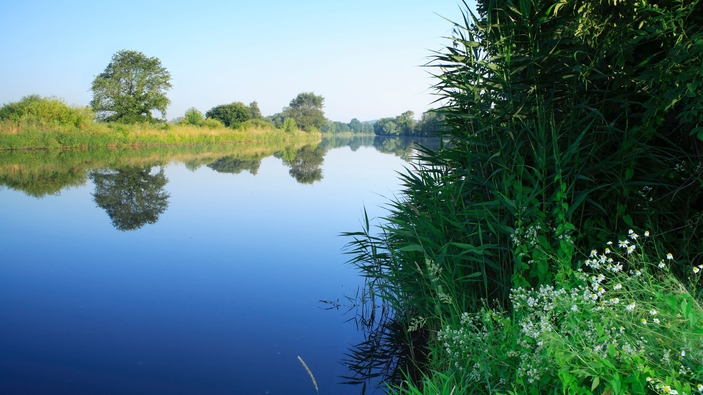 Environmental protection
